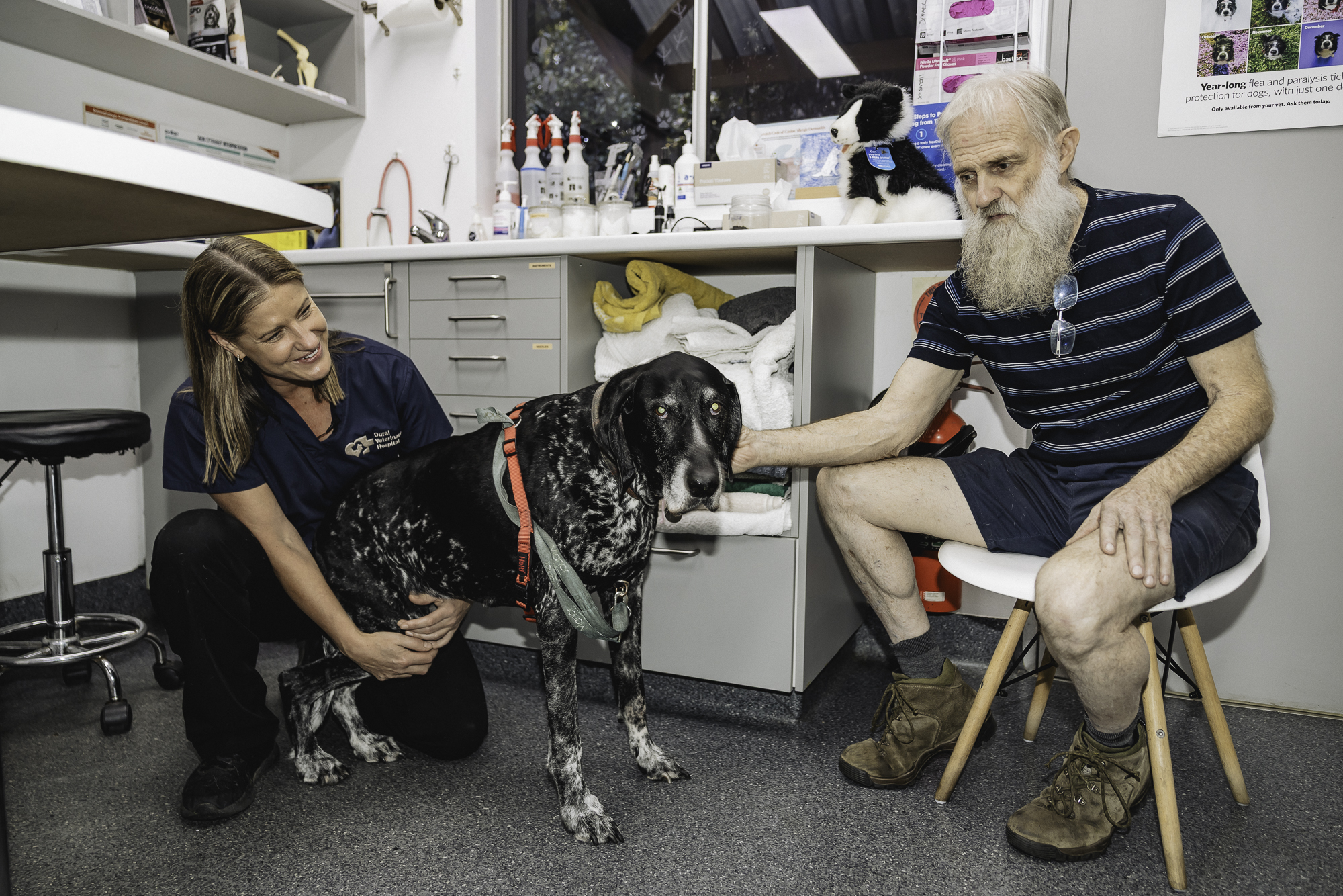 Is Your Pet ‘Just Slowing Down’ or in Pain? Early Signs of Joint Disease