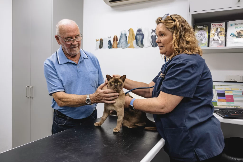 vet clinic by ocampo 17.webp