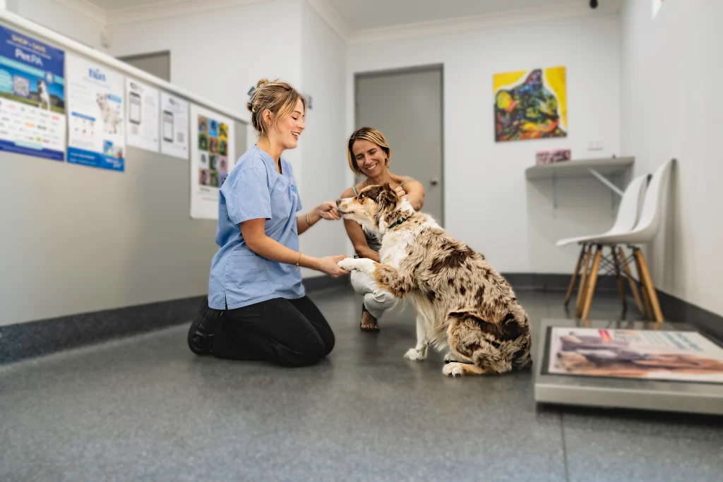 vet clinic by ocampo w 1.webp