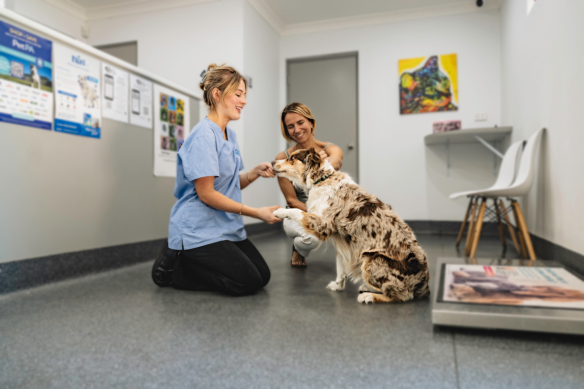 Vet Clinic by Ocampo w 1