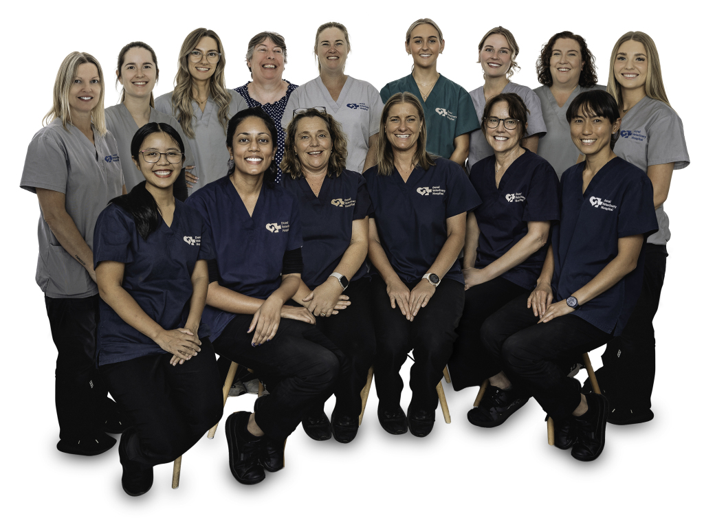 Dural Vet Group HEADSHOOT by Cesar Ocampo
