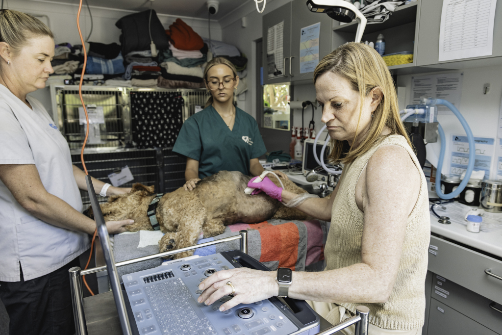 DuralVet Clinic Jan26 by Cesar Ocampo 128