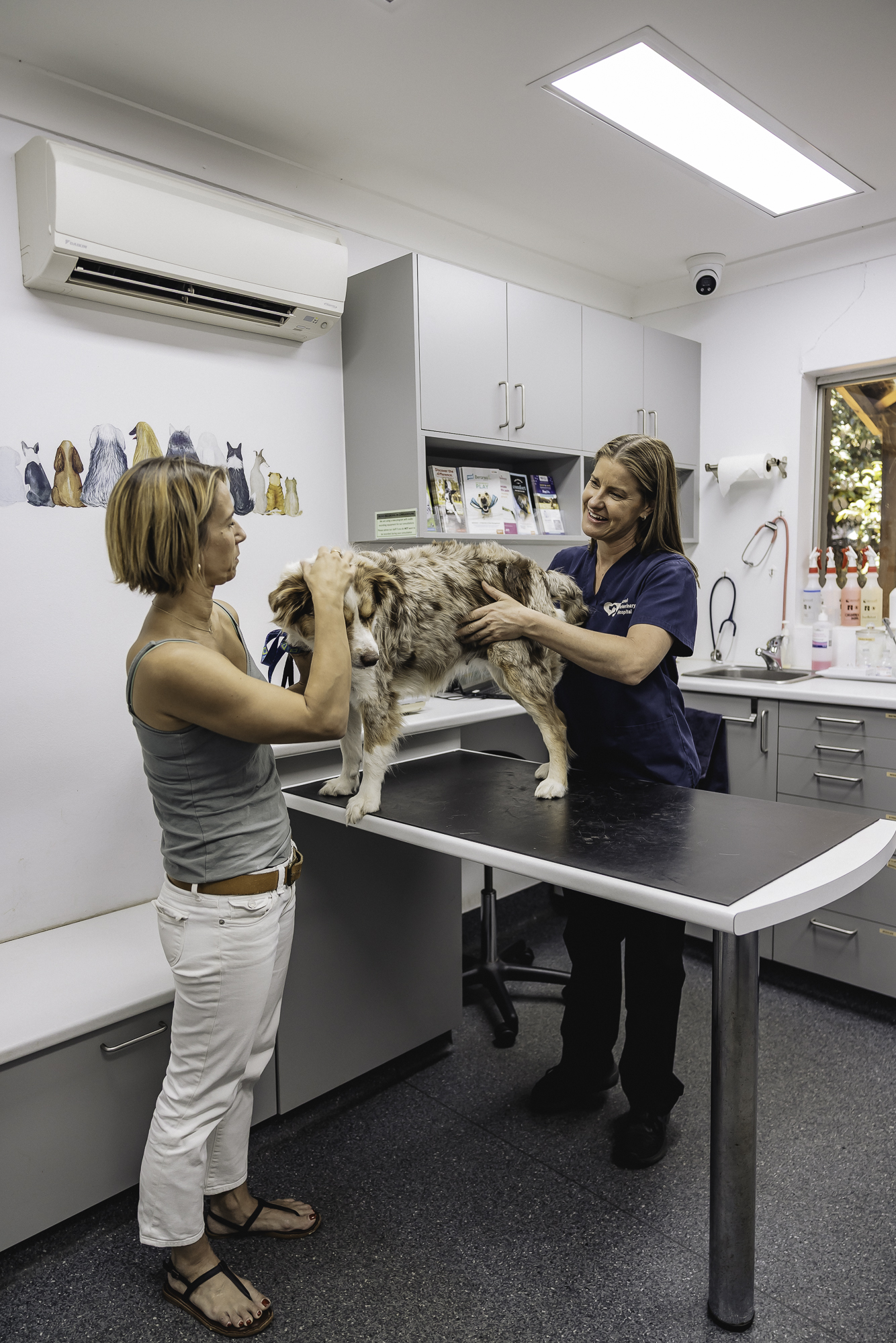 New Client 16 Vet Clinic by Ocampo 83