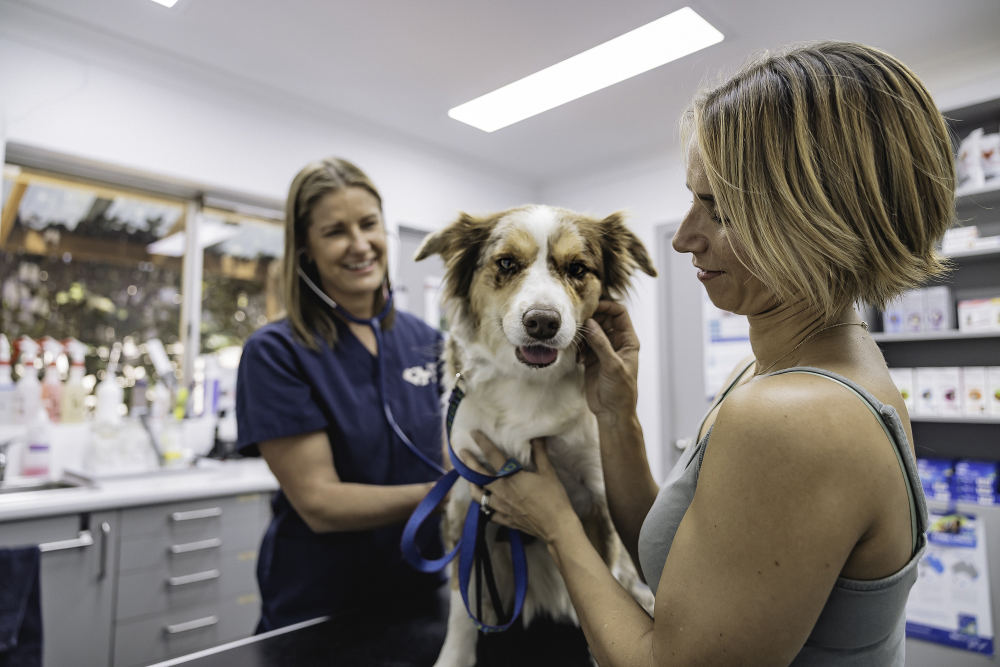 Vet Clinic by Ocampo w5.2